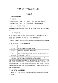 2022-2023 数学鲁教版新中考精讲精练 考点04 一次方程（组）