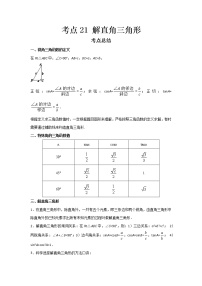 2022-2023 数学鲁教版新中考精讲精练 考点21 解直角三角形