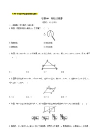 初中数学中考复习 专题09  相似三角形（原卷版）