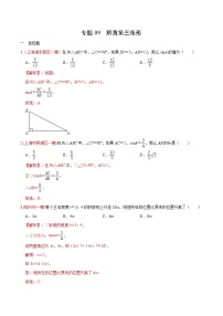 初中数学中考复习 专题09 解直角三角形（解析版）