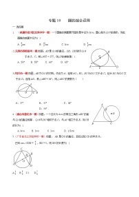 初中数学中考复习 专题10 圆的综合运用（原卷版）