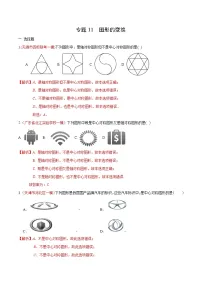 初中数学中考复习 专题11 图形的变换（解析版）