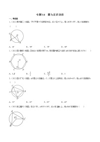 初中数学中考复习 专题14 圆与正多边形-三年（2020-2022）中考数学真题分项汇编（全国通用）（原卷版）