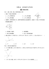 初中数学中考复习 专题24  几何初步与平行线【考点巩固】（原卷版）