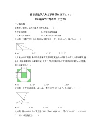 数学八年级下册6.3 特殊的平行四边形精品课时作业