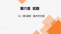 人教版七年级下册6.1 平方根课文内容课件ppt