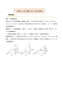 初中数学中考复习 专题41 几何问题（2）之综合问题【热点专题】（原卷版）