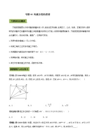 初中数学中考复习 专题44 构建方程的思想（原卷版）