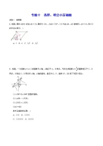 初中数学中考复习 专题十 选择、填空小压轴题(原卷版)