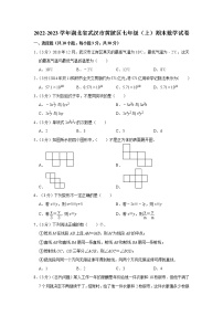 湖北省武汉市黄陂区2022-2023学年七年级上学期期末数学试卷 (含答案)