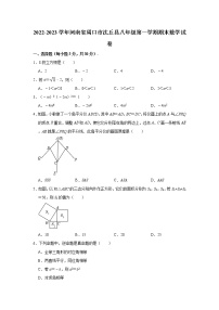 河南省周口市沈丘县2022-2023学年八年级上学期期末数学试卷 (含答案)