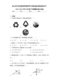 浙江省宁波市鄞州区鄞州区中河街道宋诏桥初级中学2022-2023学年八年级下学期期末数学试题