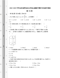 2022-2023学年山东省青岛市九年级上册数学期中专项提升模拟题（AB卷）含解析