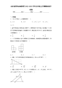 山东省青岛市城阳区2022-2023学年九年级上学期期末数学试题(含答案)