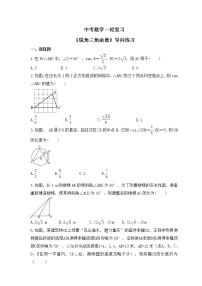 中考数学一轮复习《锐角三角函数》导向练习（含答案）