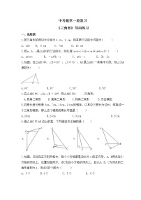 中考数学一轮复习《三角形》导向练习（含答案）