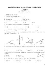 湖南省长沙市2022-2023附中系数学八下入学试卷（带答案）