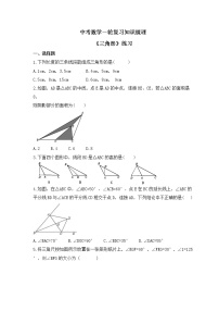 中考数学一轮复习知识梳理《三角形》练习 (含答案)