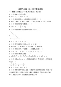 北师大版数学八上期中卷（3）