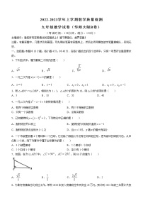 福建省漳州市2022-2023学年九年级上学期教学质量检测数学试卷（华师大版B卷）(含答案)