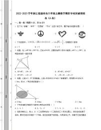 2022-2023学年浙江省温州市八年级上册数学期末专项突破模拟卷（AB卷）含解析