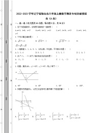 2022-2023学年辽宁省鞍山市八年级上册数学期末专项突破模拟卷（AB卷）含解析