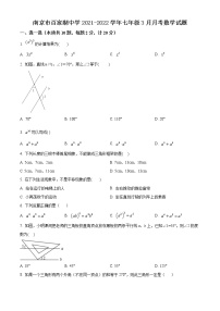 南京市百家湖中学2021-2022学年七年级3月月考数学试题（含解析）