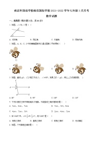 南京外国语学校雨花国际学校2021-2022学年七年级3月月考数学试题（含解析）