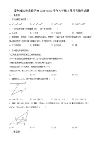 泰州靖江市实验学校2021-2022学年七年级3月月考数学试题（含解析）