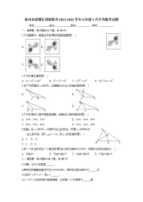 泰州市姜堰区四校联考2021-2022学年七年级3月月考数学试题（含解析）