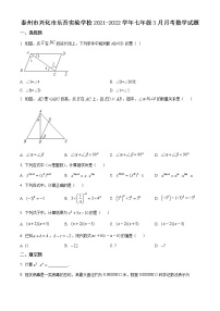 泰州市兴化市乐吾实验学校2021-2022学年七年级3月月考数学试题（含解析）