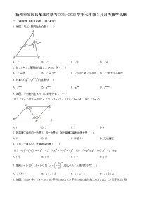 扬州市宝应县东北片联考2021-2022学年七年级3月月考数学试题（含解析）