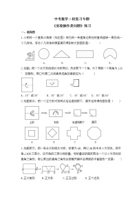 中考数学二轮复习专题一《实验操作类问题》练习(含答案)