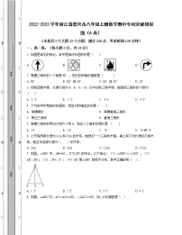 2022-2023学年浙江省嘉兴市八年级上册数学期中专项突破模拟题（AB卷）含解析