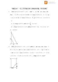 专题2.11 一元二次方程应用-几何动点问题（专项训练）-2022-2023学年八年级数学下册《同步考点解读•专题训练》（浙教版）