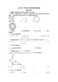 湖南省长沙市南雅中学2022-2023学年八年级上学期期末考试数学试题