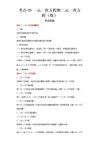 2022-2023 数学浙教版中考考点经典导学 考点05一元一次方程和二元一次方程（组）