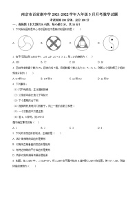 南京市百家湖中学2021-2022学年八年级3月月考数学试题（含解析）