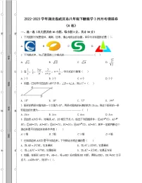 2022-2023学年湖北省武汉市八年级下册数学3月月考模拟卷(AB卷)含解析