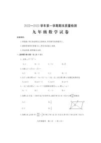 河南省洛阳市宜阳县2022-2023学年九年级上学期数学期末考试试题