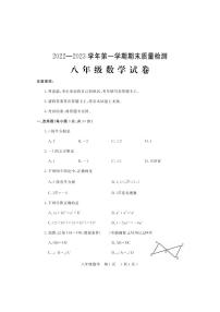 河南省洛阳市宜阳县2022-2023学年上学期八年级数学期末考试试题