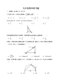 山东省泰安市岱岳区2022-2023学年九年级上学期期末考试数学试题