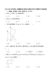 广东省梅州市丰顺县三友联合中学2022-2023学年八年级下学期开学考试数学试题