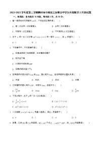 广东省梅州市丰顺县三友联合中学2022-2023学年九年级下学期开学考试数学试题