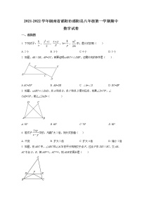 湖南省邵阳市邵阳县2021-2022学年八年级上学期期中质量检测数学试卷(含答案)