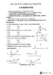 山东省聊城市阳谷县2022-2023学年八年级上学期期末考试数学试题