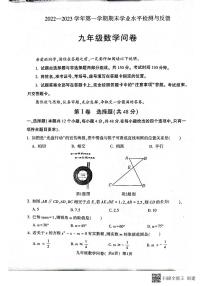 山东省聊城市阳谷县2022-2023学年九年级上学期期末考试数学试题