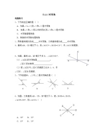 华师大版七年级上册1 对顶角同步测试题