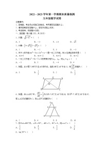 河南省洛阳市宜阳县2022-2023学年九年级上学期期末数学试题