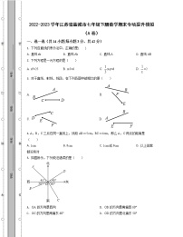 2022-2023学年江苏省盐城市七年级下册数学期末专项提升模拟（AB卷）含解析